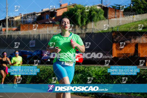 Vale Verde Run 2024