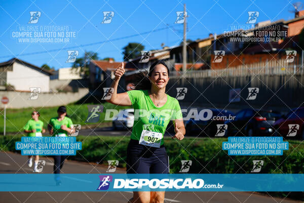 Vale Verde Run 2024