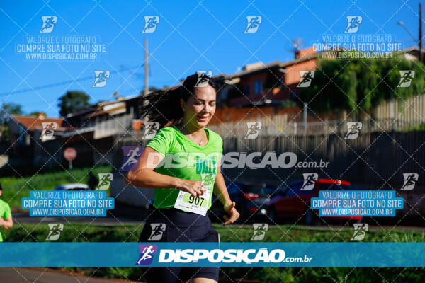 Vale Verde Run 2024