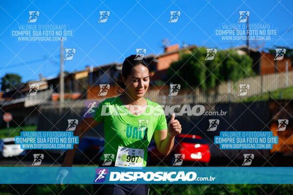 Vale Verde Run 2024