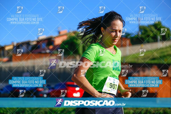 Vale Verde Run 2024