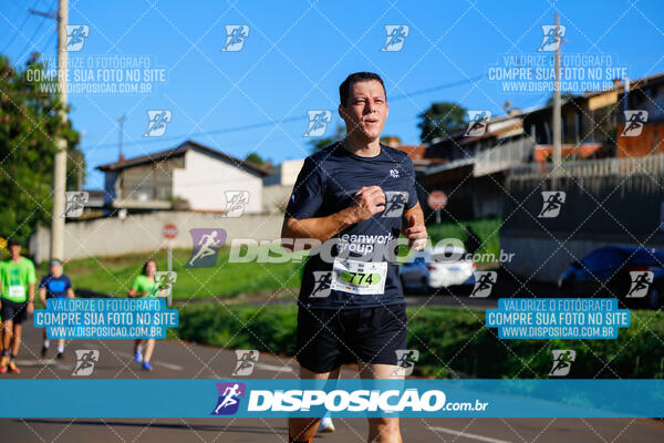 Vale Verde Run 2024