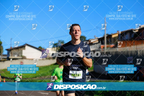 Vale Verde Run 2024