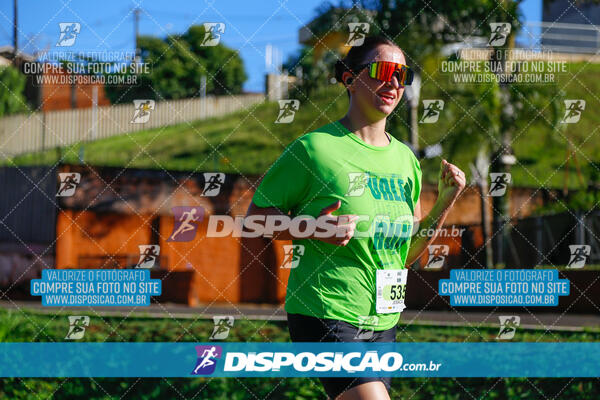 Vale Verde Run 2024