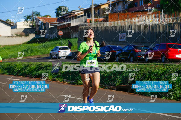 Vale Verde Run 2024