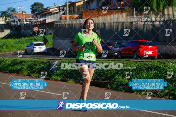 Vale Verde Run 2024