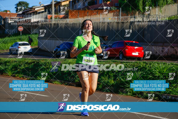 Vale Verde Run 2024