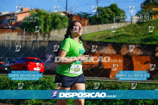 Vale Verde Run 2024