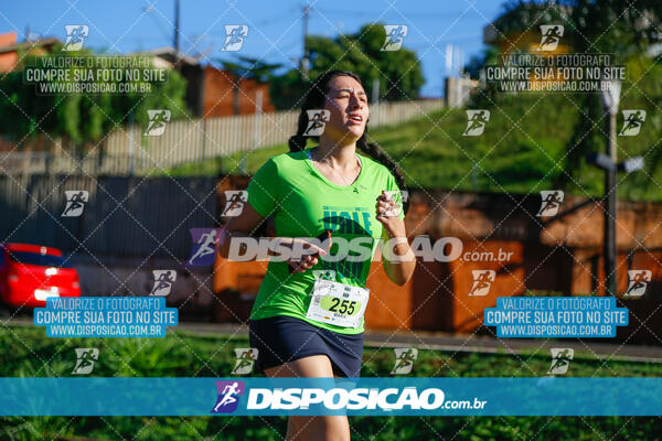 Vale Verde Run 2024