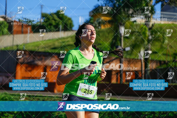 Vale Verde Run 2024