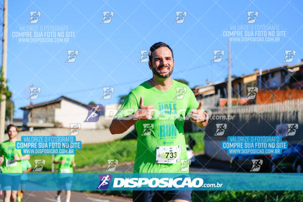 Vale Verde Run 2024