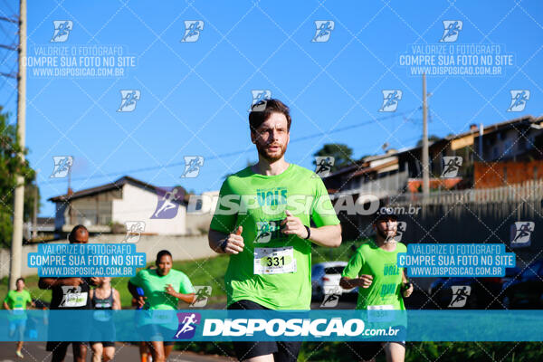 Vale Verde Run 2024