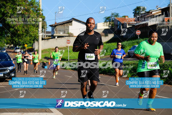 Vale Verde Run 2024