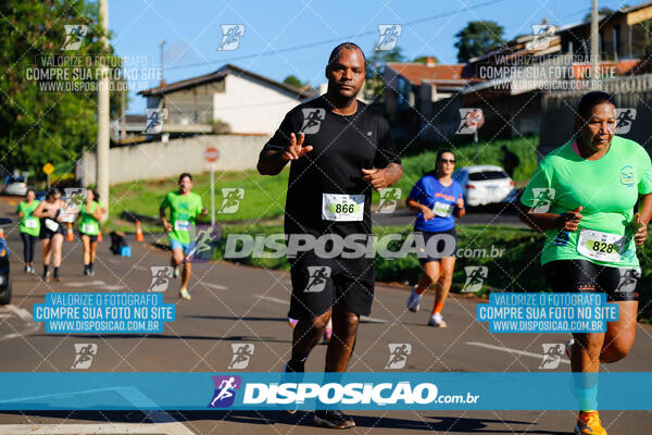 Vale Verde Run 2024