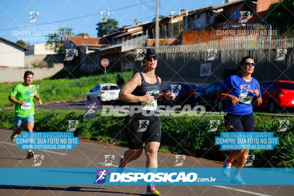 Vale Verde Run 2024