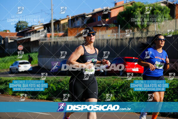 Vale Verde Run 2024