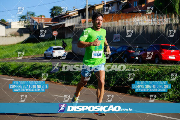 Vale Verde Run 2024