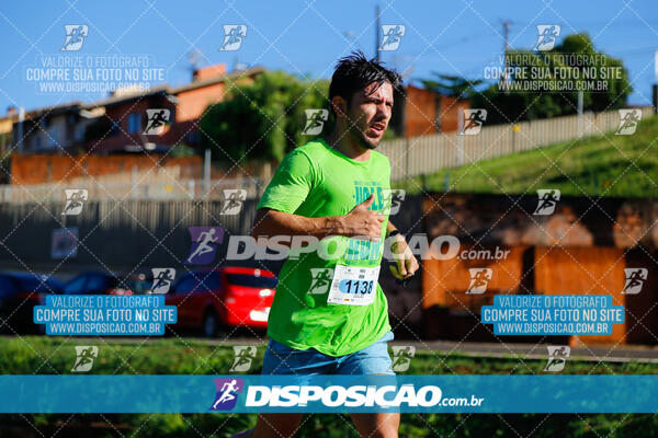 Vale Verde Run 2024