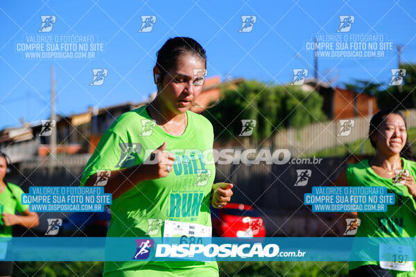 Vale Verde Run 2024