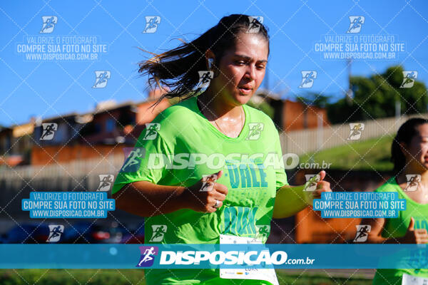 Vale Verde Run 2024