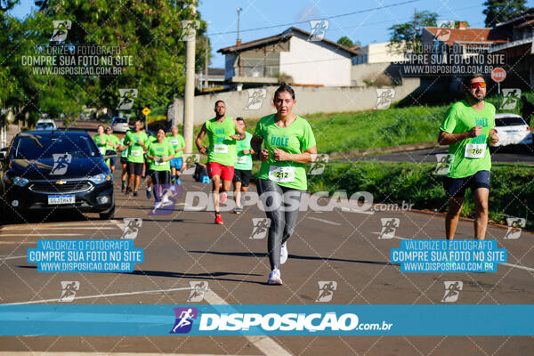 Vale Verde Run 2024