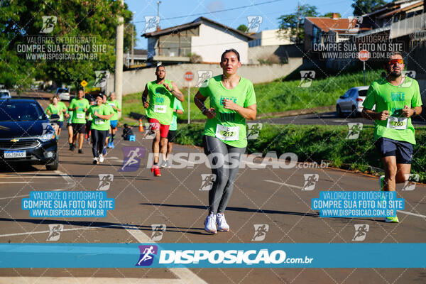 Vale Verde Run 2024