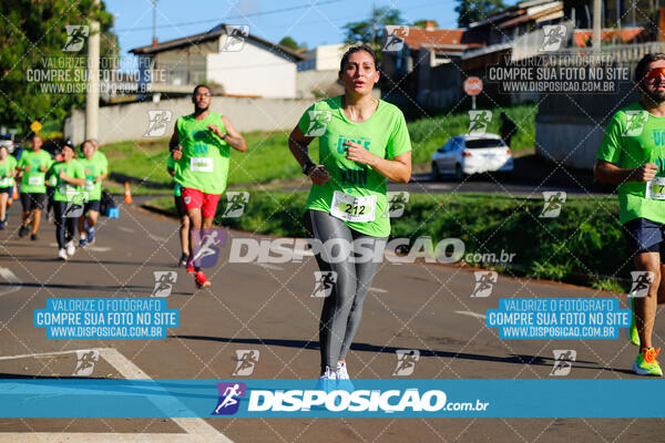 Vale Verde Run 2024