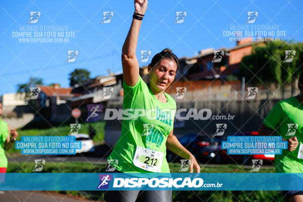 Vale Verde Run 2024