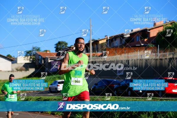 Vale Verde Run 2024