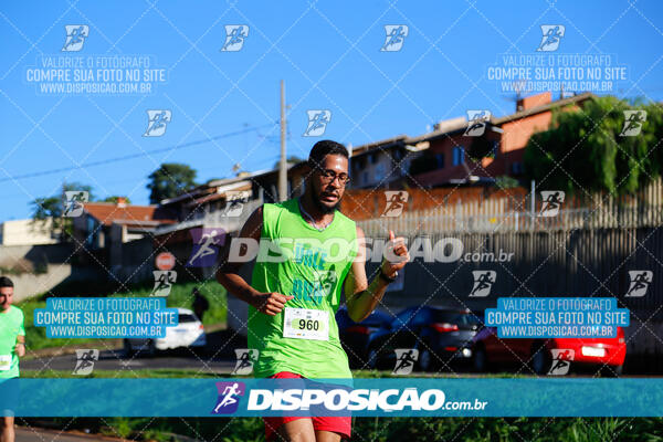 Vale Verde Run 2024