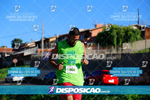 Vale Verde Run 2024