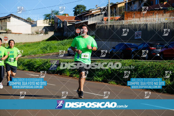 Vale Verde Run 2024