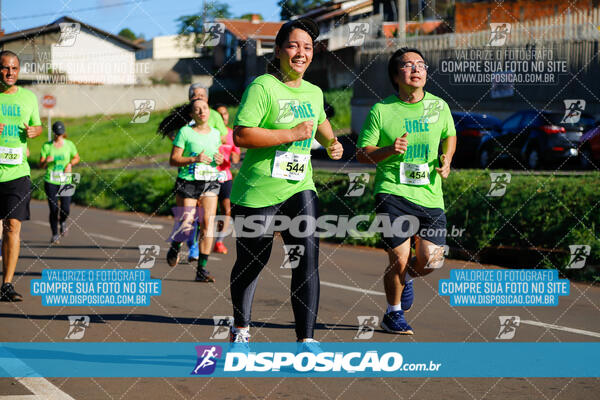 Vale Verde Run 2024