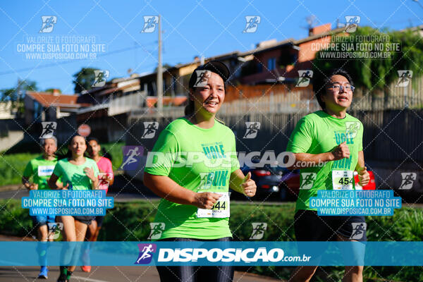 Vale Verde Run 2024