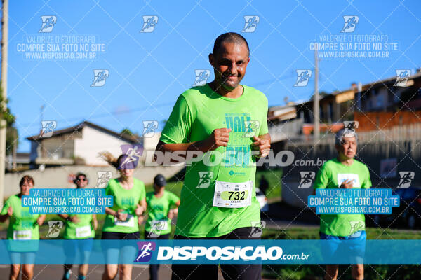 Vale Verde Run 2024