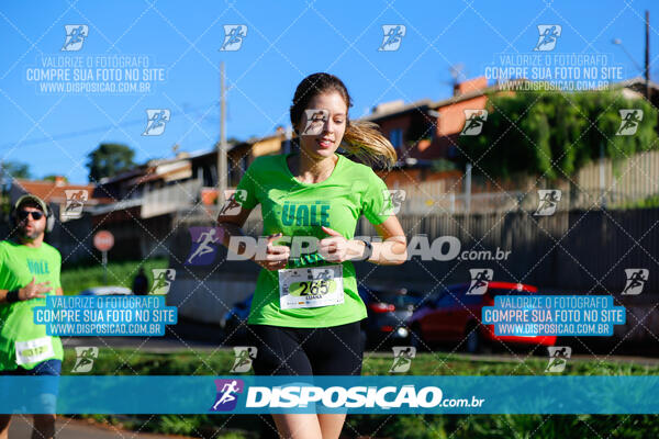 Vale Verde Run 2024