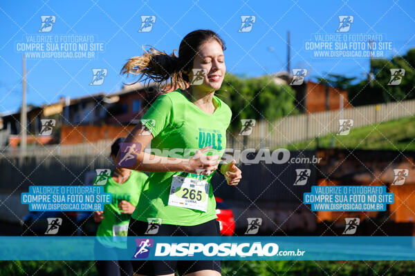 Vale Verde Run 2024