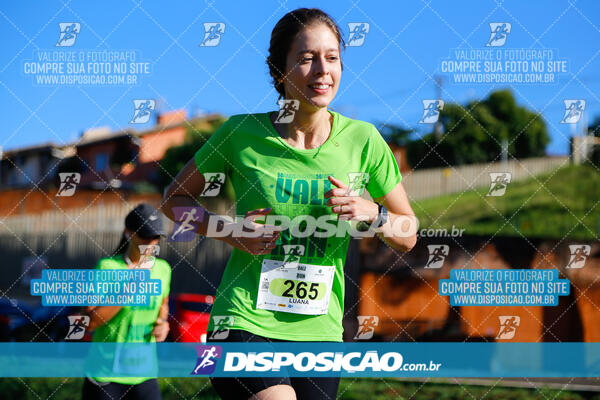 Vale Verde Run 2024