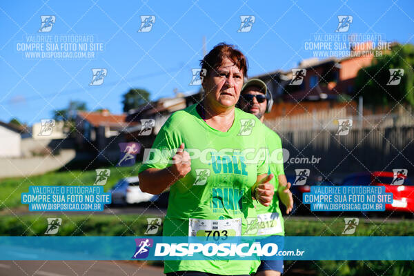 Vale Verde Run 2024