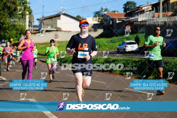 Vale Verde Run 2024