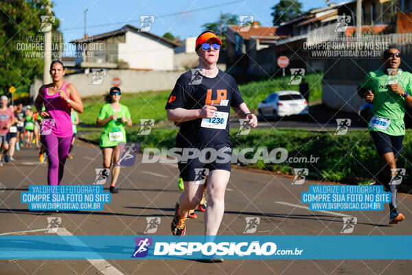 Vale Verde Run 2024