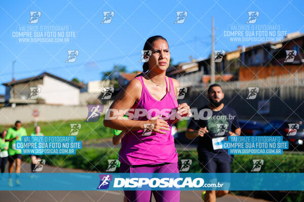 Vale Verde Run 2024