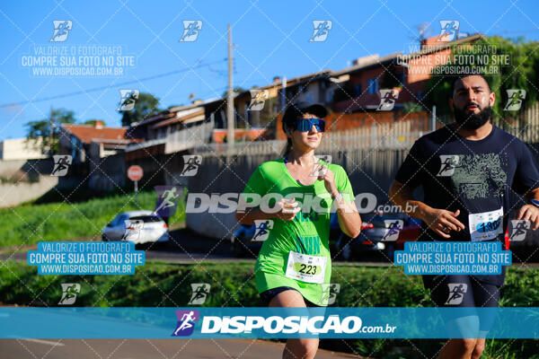 Vale Verde Run 2024