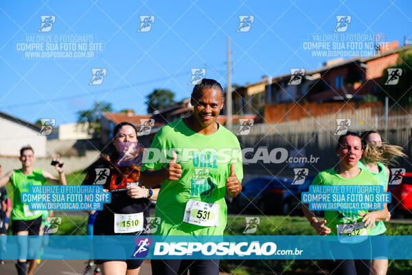 Vale Verde Run 2024