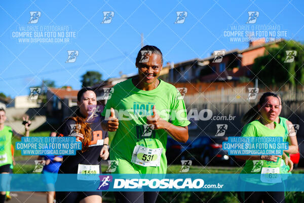 Vale Verde Run 2024