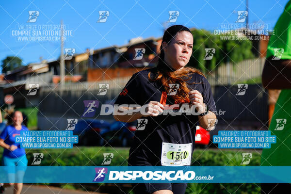 Vale Verde Run 2024