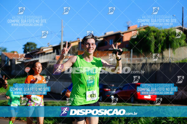 Vale Verde Run 2024