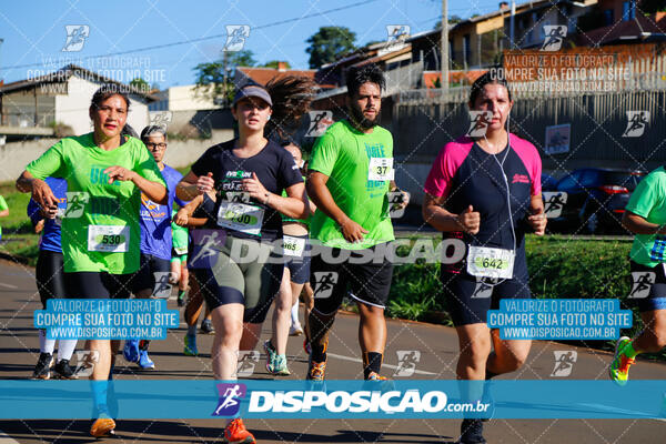 Vale Verde Run 2024