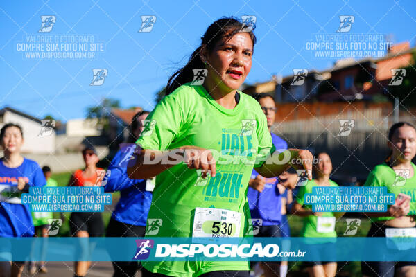 Vale Verde Run 2024