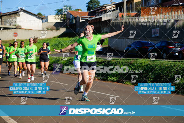 Vale Verde Run 2024